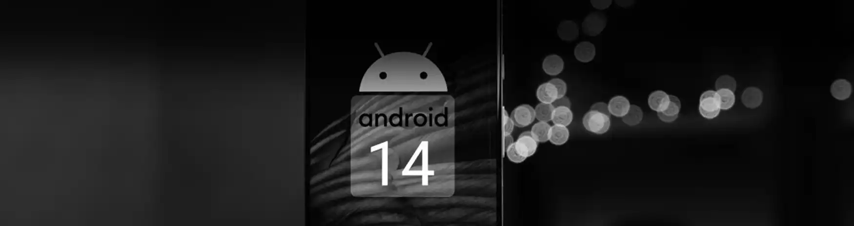 https://mahamdg.com/blog/android-14-beta-for-google-phones